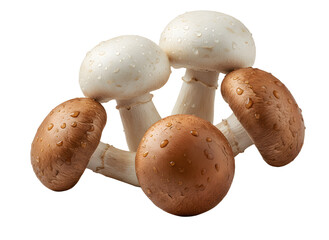Fresh Mushroom Assortment Culinary Mushroom Variety White and Brown Close Up Healthy Ingredient From Nature's Bounty