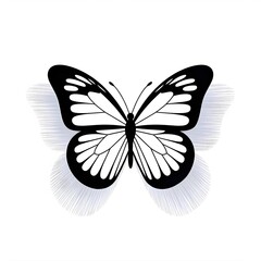 Elegant black and white butterfly illustration with delicate wing patterns, symbolizing transformation and natural beauty for your next project.