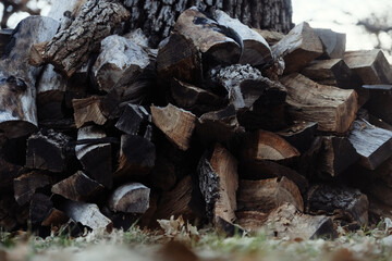 Stacked firewood closeup for winter preparation.