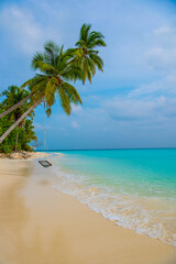 Tranquil closeup calm sea water waves with palm trees. Beautiful Panorama, Tropical island beach landscape exotic shore coast. Summer vacation, holiday amazing nature. Relax paradise, Maldives.