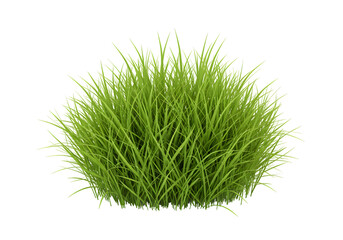 Lush Green Grass Clump with Vibrant Texture Isolated on a Clean White Background for Graphic Design Elements