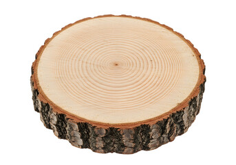 Natural Wood Slice with Bark Texture