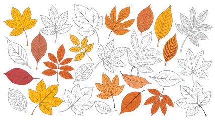 Collection of Autumn Leaves in Vector Format for Design and Decoration