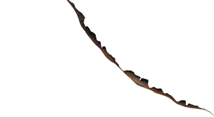 Abstract organic brown form gracefully undulating against a profound black void a minimalist natural texture capturing quiet elegance