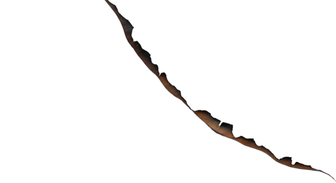 Abstract organic brown form gracefully undulating against a profound black void a minimalist natural texture capturing quiet elegance