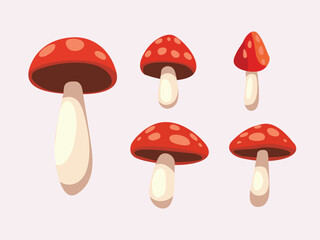Mushrooms set vector illustration on solid background