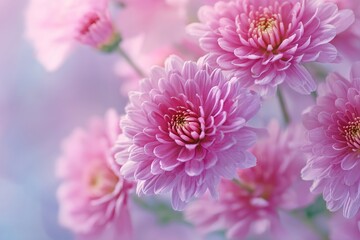 Fototapeta premium Beautiful Pink Flowers Bloom in a Soft Pastel Background During a Gentle Spring Day