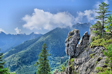 Tatry, widok z Sarnich Skał na zielone zbocza i skalne formacje z charakterystycznym głazem w słoneczny dzień © Przemysaw