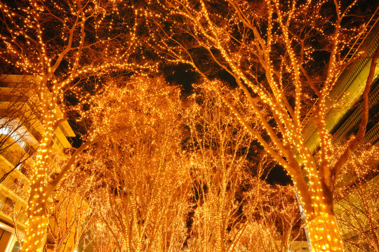 仙台光のページェント①