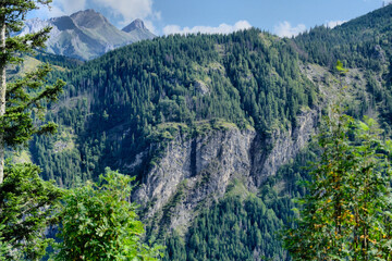 Tatry, zielone leśne zbocza i skalne ściany z górskimi szczytami w tle, letni krajobraz © Przemysaw
