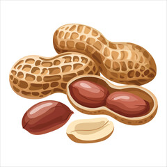 peanut variety showing shells kernels and halves vector art isolated on white background