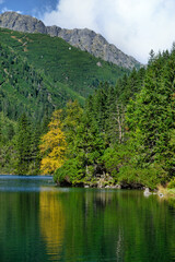 Tatry, jesienne drzewa odbijające się w wodzie Morskiego Oka, górski krajobraz i zielone stoki © Przemysaw