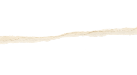 Torn piece of paper with rough edges isolated on transparent background