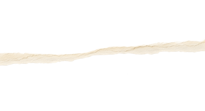 Torn piece of paper with rough edges isolated on transparent background