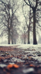 Winter pathway through a foggy park with bare trees and light snowfall