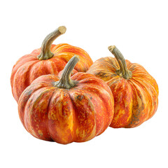 Fototapeta premium Three small orange pumpkins with textured rinds on white background