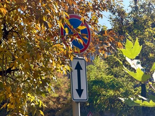 No Stopping traffic sign partially obscured by bright yellow and green autumn leaves. Photo taken on a sunny day, depicting urban life and seasonal change. Regulation, autumn, transportation concept.