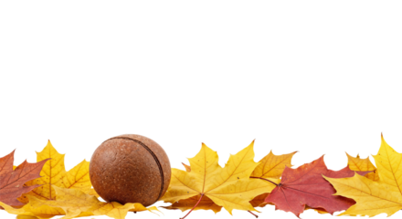 colorful maple leaves are arranged in a row isolated on transparent background, creating a vibrant autumn scene with warm hues and natural textures, perfect for seasonal designs