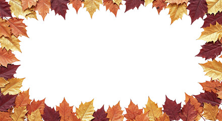 Autumn Leaves Border: A vibrant array of autumn leaves frames a central space. Leaves create a captivating border, perfect for conveying the beauty of the season. 