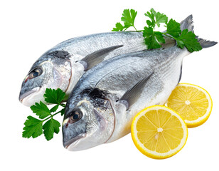 Filets de Dorade Royale Crue avec Citron et Herbes, Composition Minimaliste Isol&eacute;e sur Fond Blanc