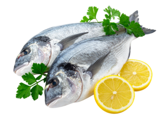 Filets de Dorade Royale Crue avec Citron et Herbes, Composition Minimaliste Isolée sur Fond Blanc