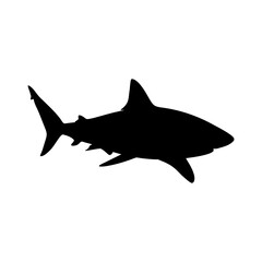 shark vector illustration