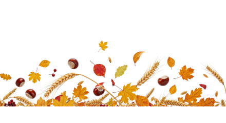 Autumnal arrangement isolated on transparent background featuring an array of colorful leaves, ripe chestnuts, and golden wheat stalks, creating a warm and inviting seasonal composition
