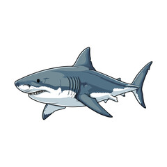 Fototapeta premium shark with a white background