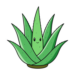 aloe vera plant with thick leaves