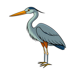 heron standing Vector Illustration