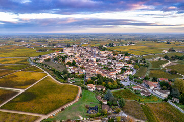 Aerial view of Prestigious vineyard of Saint-Émilion, France
