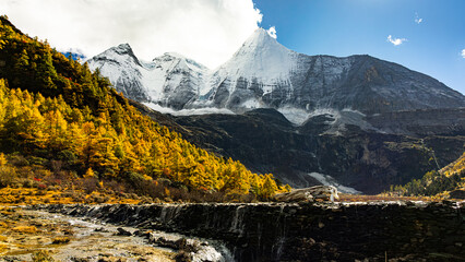 Beautiful Scenic of Luorong Grassland in Yading Natural Reserve