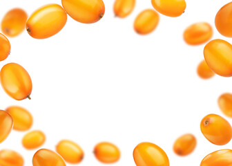 Fresh sea buckthorn berries in air on white background