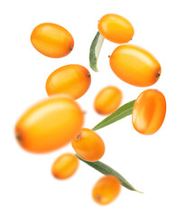 Fresh sea buckthorn berries in air on white background