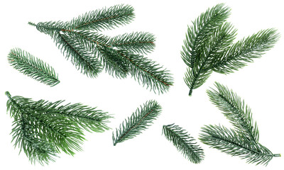 Christmas tree branches isolated on white, set