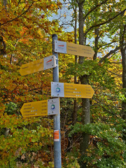 Wanderwegweiser am Premiumwanderweg Traufgang Schlossfelsenpfad bei Albstadt; Schwäbische Alb,