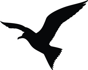 silhouette of a bird