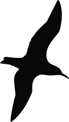 vector silhouette of a bird