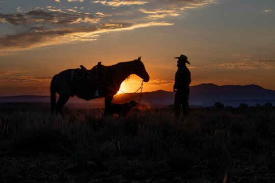 Sunset silhouette of a cowboy with his horse and dog in the western landscape