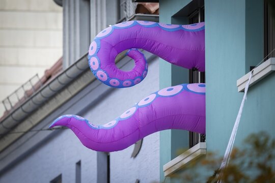 Pink octopus arms sticking out of window, green-painted residential building, Halloween, Stuttgart, Germany