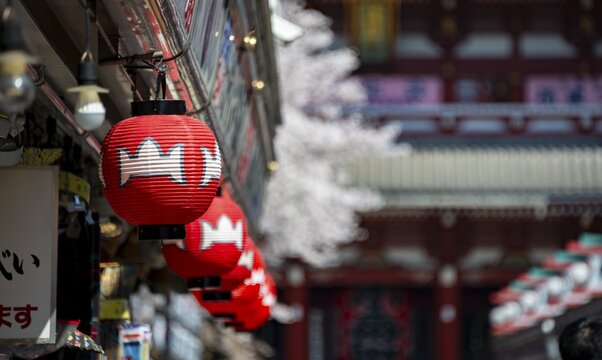 Red lanterns on Nakamise-dori shopping street, in the back the Hōzōmon Gate of Asakusa Shrine or Sensō-ji Temple, Buddhist Temple Complex, Asakusa, Tokyo, Japan
