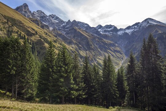 View of the Bacherloch Valley and the mountains of the Allg&auml;u Alps with Trettachspitze, M&auml;delegabel, Hochfrottspitze, Wilder Mann and Linkerskopf, Ein&ouml;dsbach, Oberstdorf, Oberallg&auml;u, Bavaria Germany