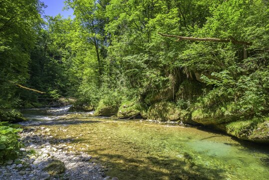Wanderung entlang der Krummen Steyrling, Molln, Ober&ouml;sterreich, &Ouml;sterreich