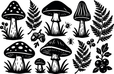 Mushrooms and Ferns with Insects Vector Illustration in Black and White Natural Elements Design