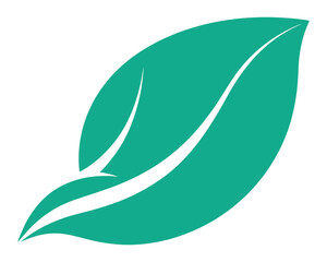 Simple minimalist green leaf illustration on white background with clear veins