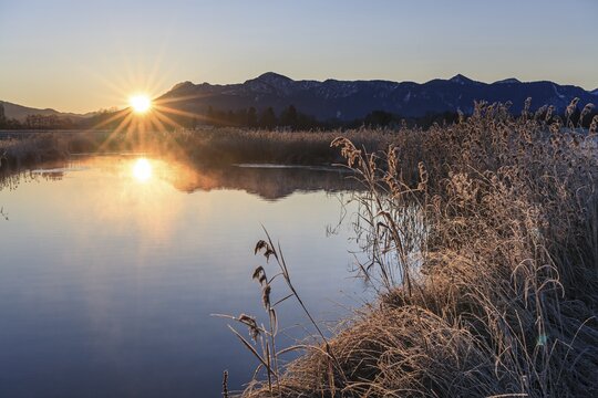 Sunrise on a quiet river in front of mountains, hoarfrost, Ach estuary, near Murnau, Bavarian Alps behind, Bavaria, Germany