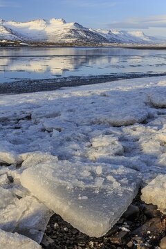 Ice floes on the shore of a fjord in front of snowy mountains, sunny, Breiddalsvik, East Fjords, Iceland