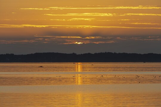 Sunset, near Chieming, Chiemsee, Chiemgau, Bavaria, Germany