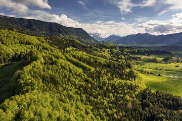Aerial view of a mountain forest in front of mountains in spring, sunny, Ohlstadt, view of Zugspitze, Alpine foothills, Upper Bavaria, Bavaria, Germany