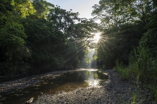 Atmospheric morning light with sun star and sun rays, at a stream in the tropical rainforest, Corcovado National Park, Osa Peninsula, Puntarena Province, Costa Rica